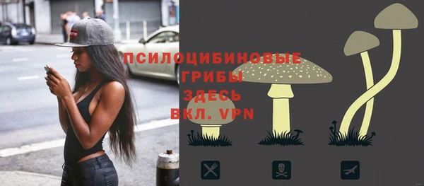 шишки Бронницы