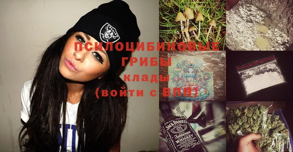 шишки Бронницы