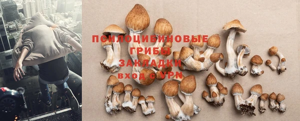 кристаллы Бородино