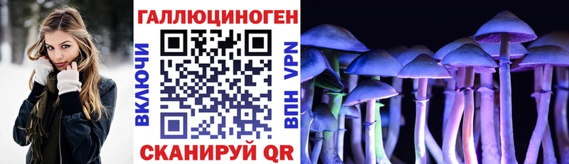 Галлюциногенные грибы Psilocybine cubensis  Курск 