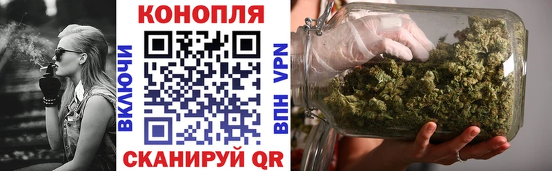 Конопля SATIVA & INDICA  Курск 